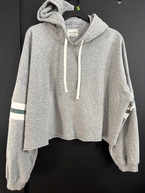 American Eagle Outfitters Gray Cropped Hoodie with Green Stripe Detail